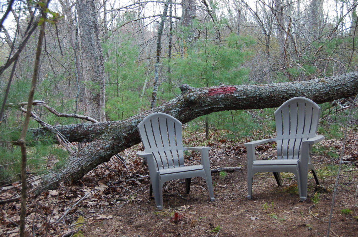 “Two Roads Diverged in the Wood…”